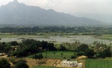 de berg ARUNACHALA, aan de voet hiervan gebeurt het. Op de voorgrond het care-home.